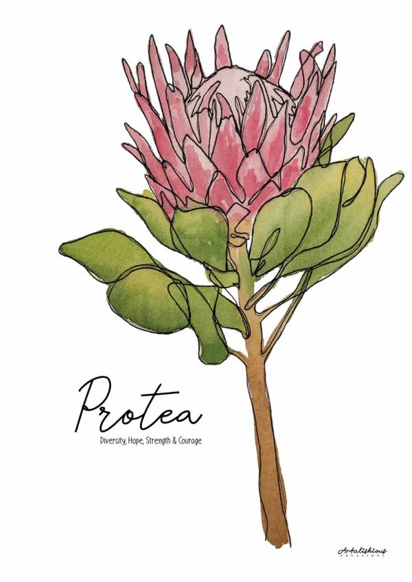 Australian Birth Flower Series: A Collection of Australian Native Flowers - Image 9