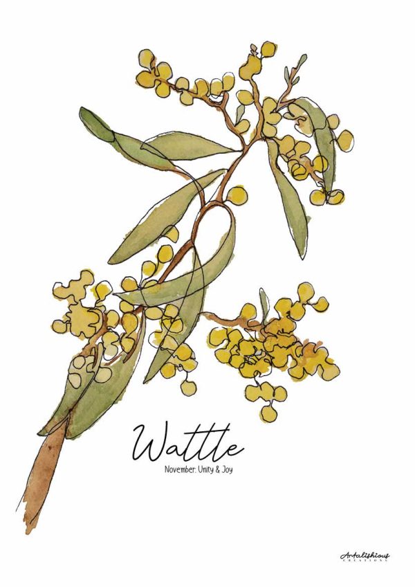 Australian Birth Flower Series: A Collection of Australian Native Flowers - Image 6