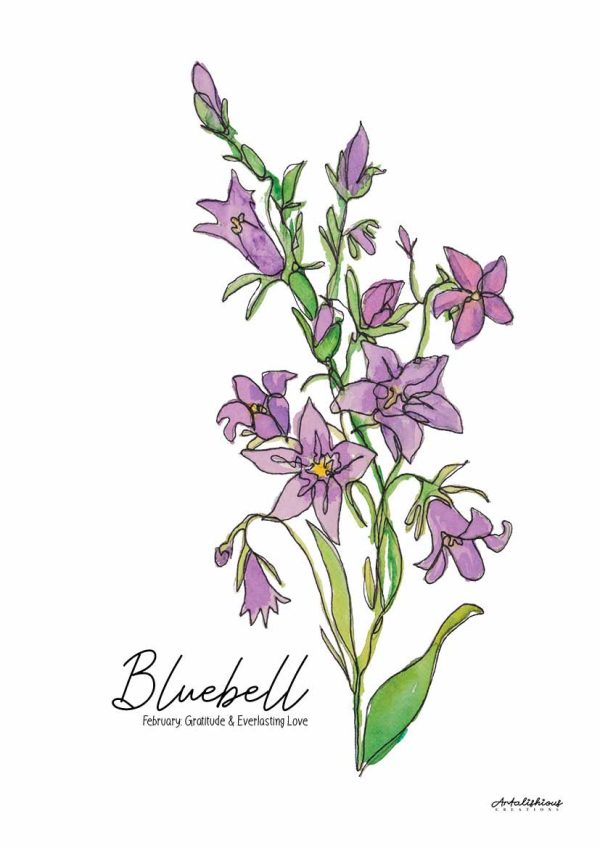 Australian Birth Flower Series: A Collection of Australian Native Flowers - Image 11