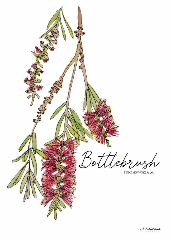 Australian Birth Flower Series: A Collection of Australian Native Flowers - Image 3