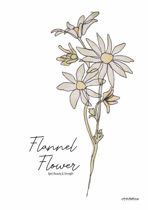 Australian Birth Flower Series: A Collection of Australian Native Flowers - Image 2