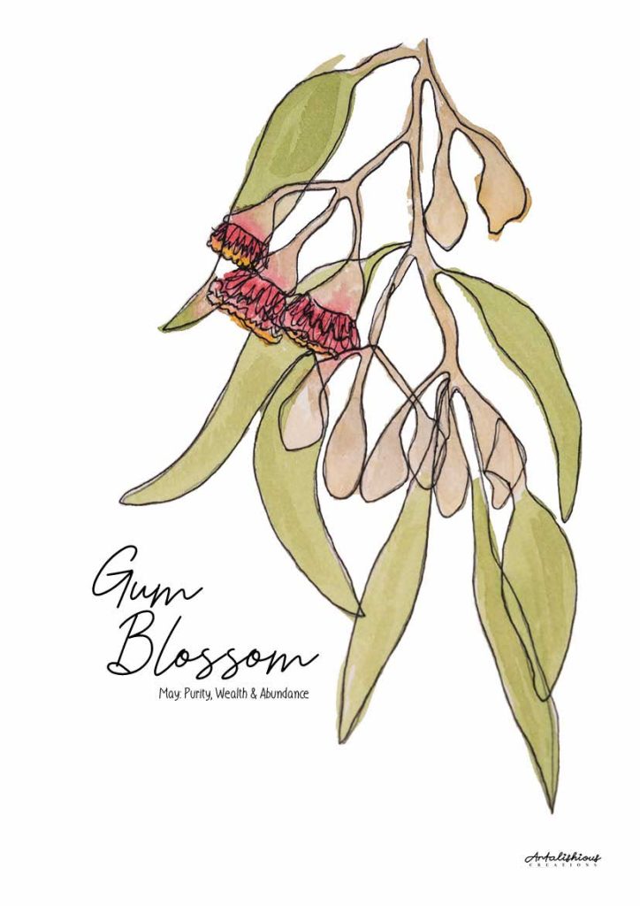 Australian Birth Flower Series A Collection of Australian Native — free download