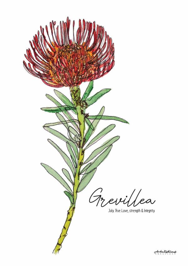 Australian Birth Flower Series: A Collection of Australian Native Flowers - Image 7