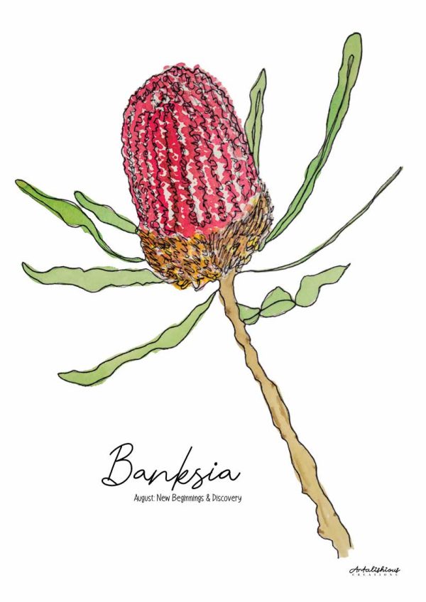 Australian Birth Flower Series: A Collection of Australian Native Flowers - Image 10
