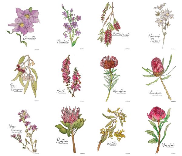 Australian Birth Flower Series: A Collection of Australian Native Flowers